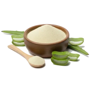 Aloevera Extract (Aloe Barbadensis)