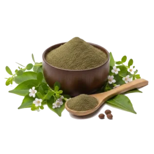 bacopa extract (Terminalia belerica)
