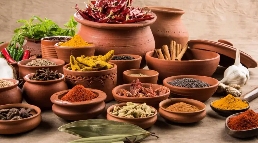 Healthy Elements: Bringing the Flavors of Neemuch to the World