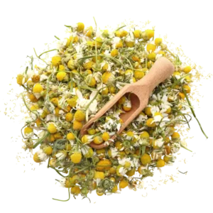 Chamomile