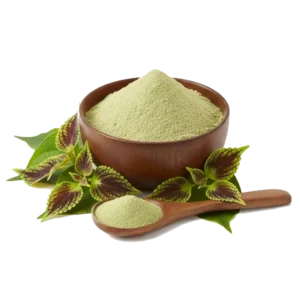 Coleus Forskohlin Extract