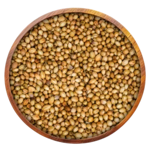 Coriander Seeds
