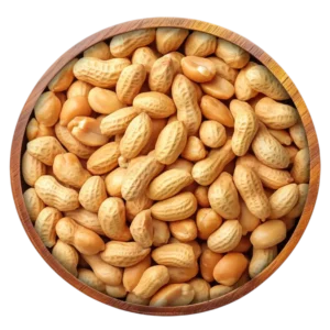 Groundnut