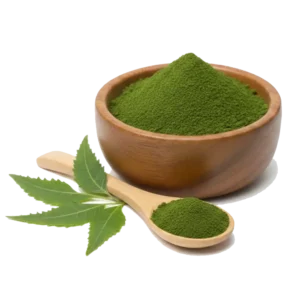 Neem Extract (azadirachta indica)