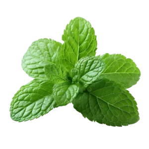 Papermint