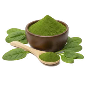 Spinach Powder Extract (Spinacia Oleracea)