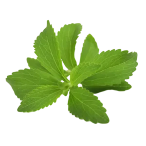 Stevia Leaves