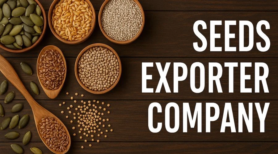 seeds exporter company