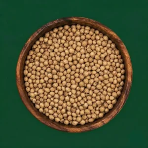 Coriander Seeds