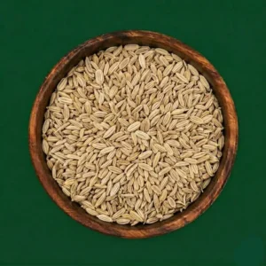 Fennel Seeds
