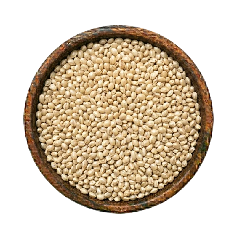 barley-seeds