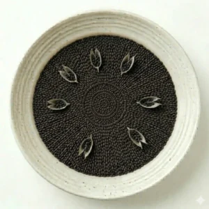 Basil Seeds