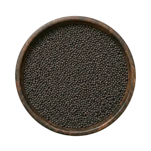 canola-seeds