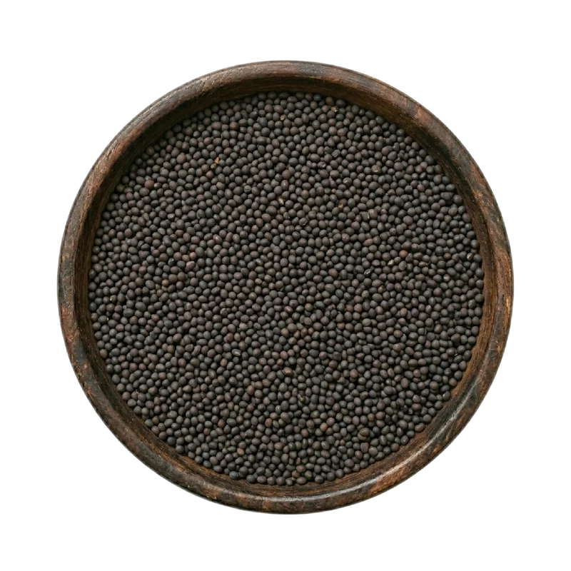 canola-seeds