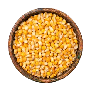 feed-corn