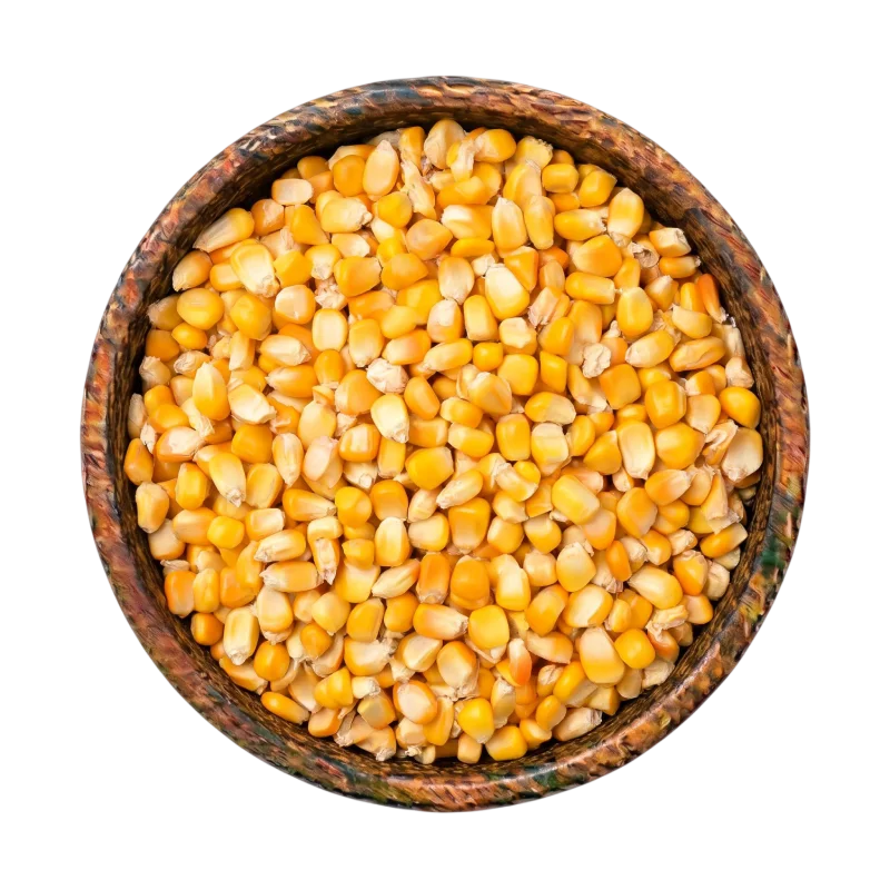feed-corn