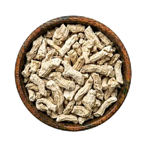kapoor-kachri