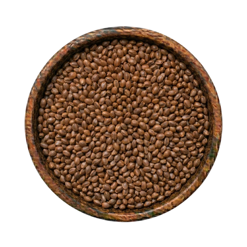 perilla-seeds