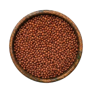 Red Sorghum