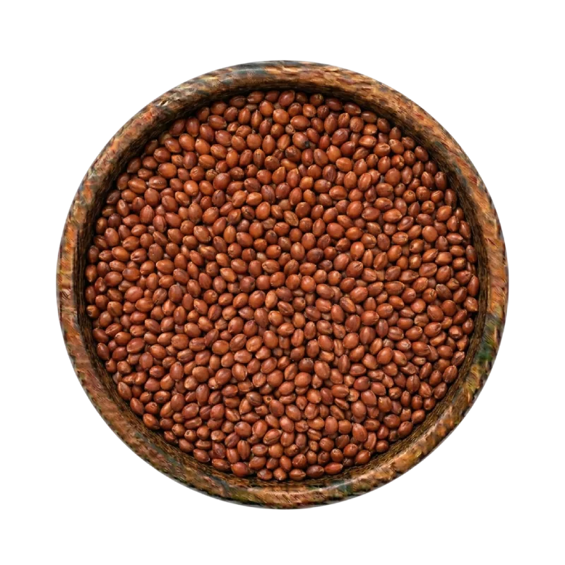 Red Sorghum