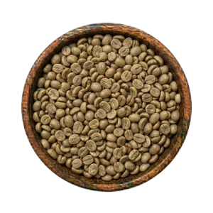 robusta-green-coffee-beans