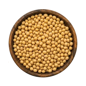 soya beans