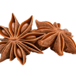 STAR_ANISE-removebg-preview
